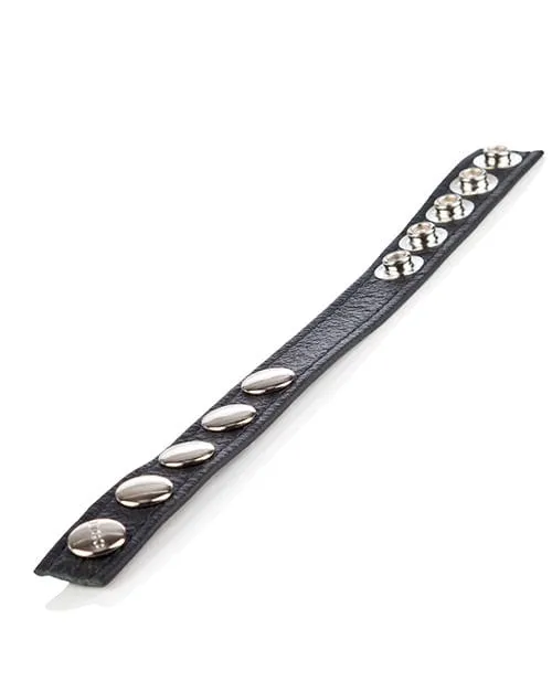 Colt Leather CB Strap 5 Snap Fastener Black CalExotics Anal Colt Leather CB Strap 5 Snap Fastener Black CalExotics Anal