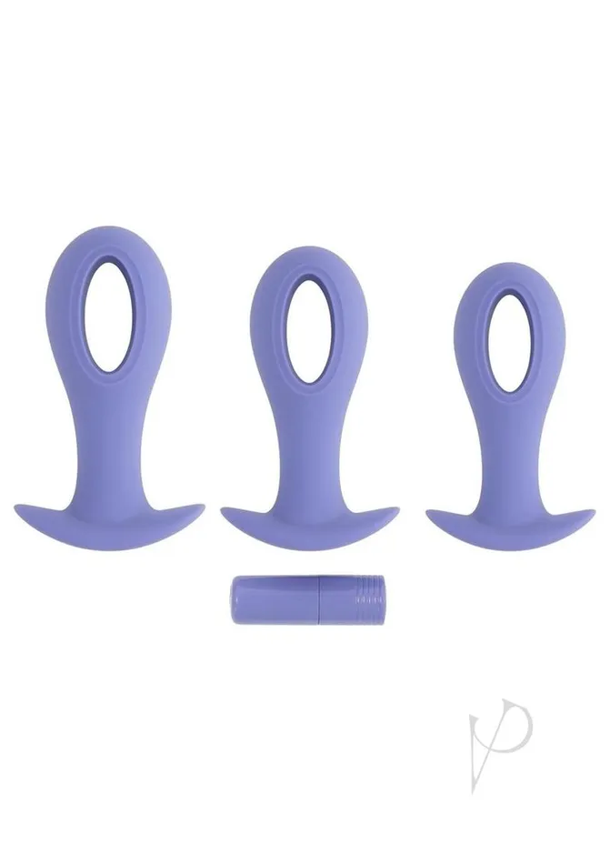 Evolved Anal Hole Punch Plug Set Purple