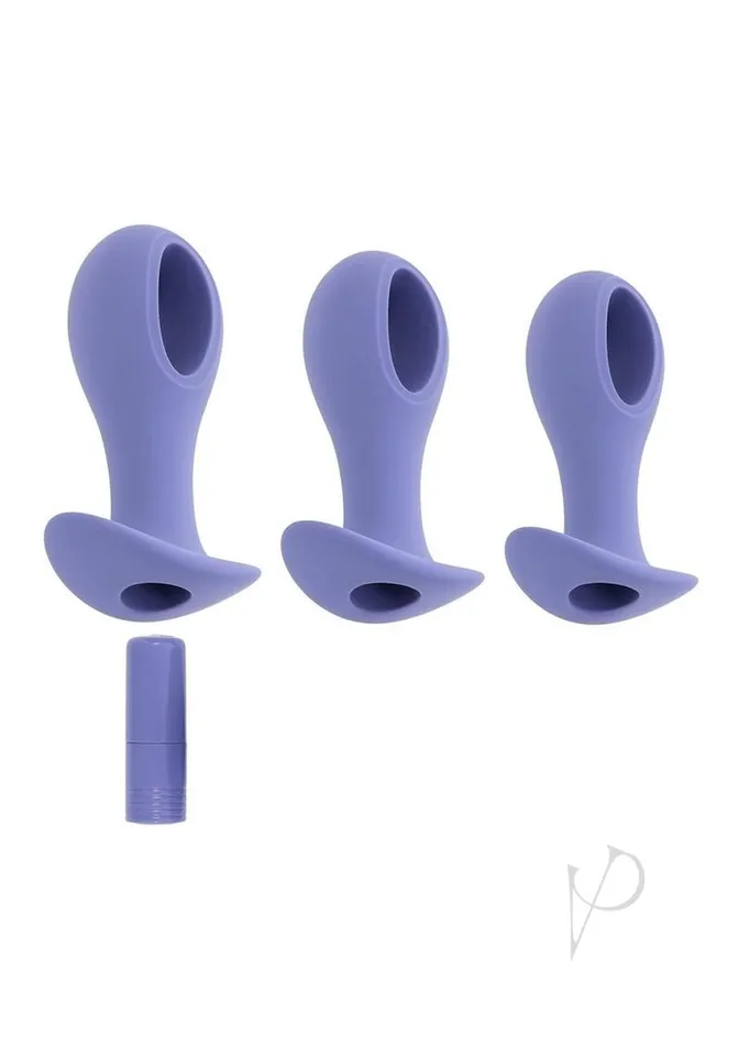 Evolved Anal Hole Punch Plug Set Purple
