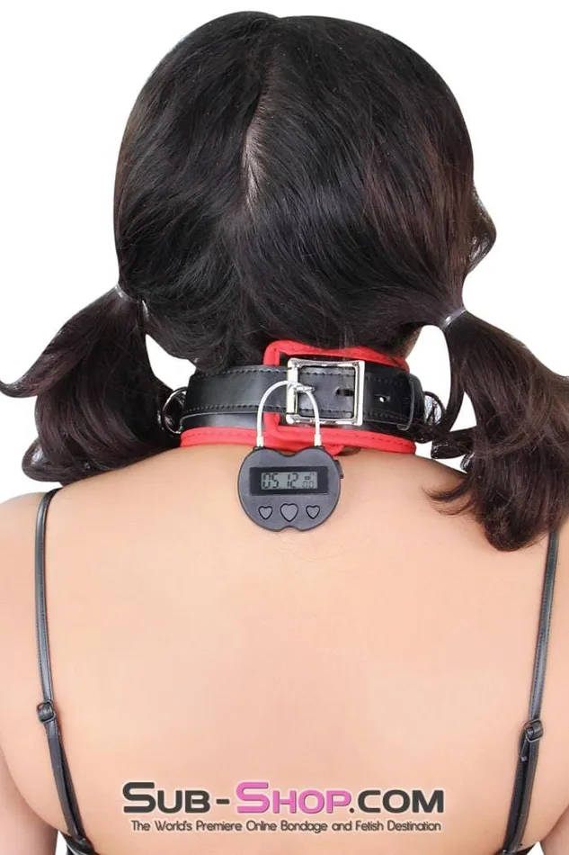 Moonwell Female Sex Toys 2747M Heart Shaped Time Lock USB Rechargeable Lock The Ultimate Self Bondage Lock