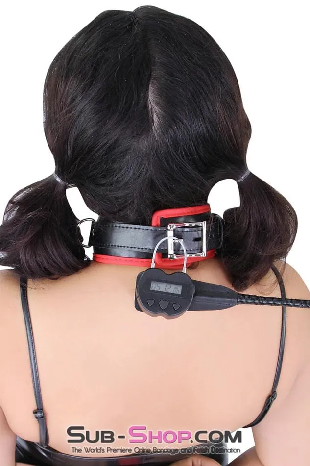 Moonwell Female Sex Toys 2747M Heart Shaped Time Lock USB Rechargeable Lock The Ultimate Self Bondage Lock